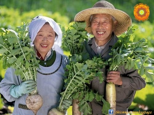 12 bí quyết giúp sống lâu trên 100 tuổi vẫn không mất trí nhớ